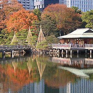 浜離宮紅葉