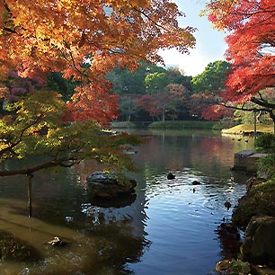 小石川後楽園紅葉
