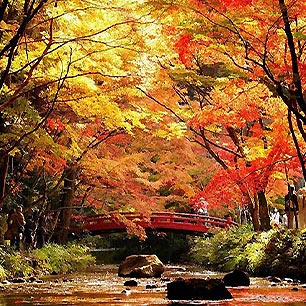 小國神社