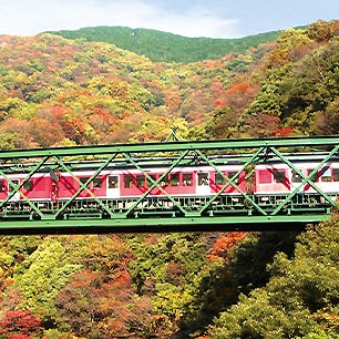 箱根登山鉄道紅葉