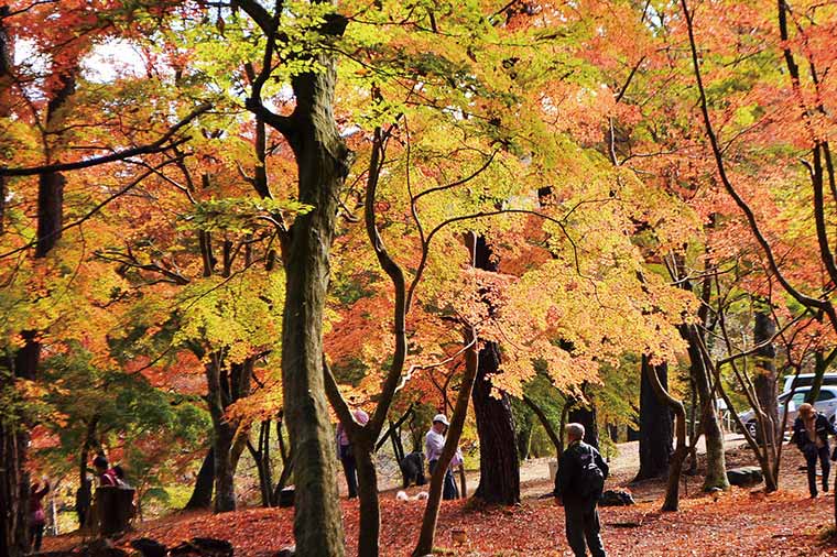 月の石もみじ公園