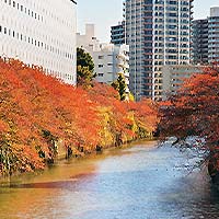 目黒川クルーズ