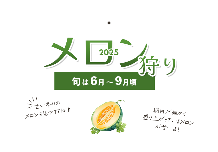 メロン狩り特集2025
