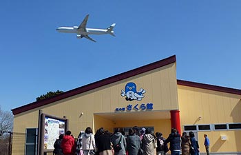 さくらの山公園