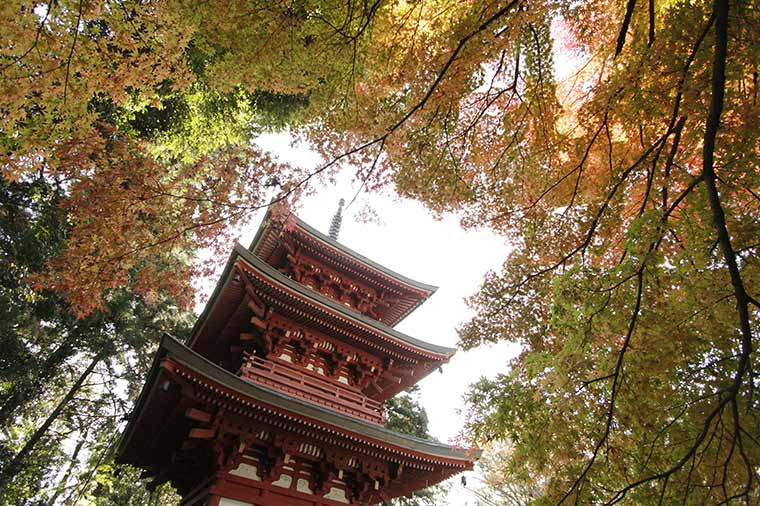油山寺