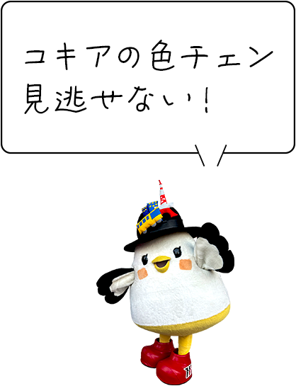 しゃぽぽ