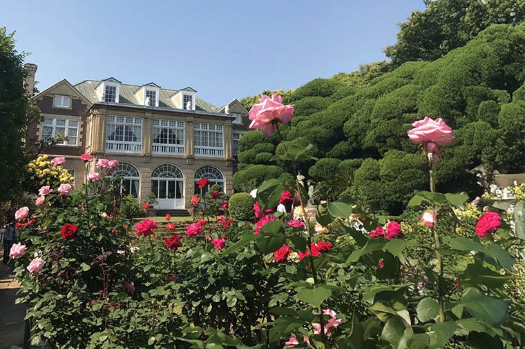 鳩山会館・薔薇