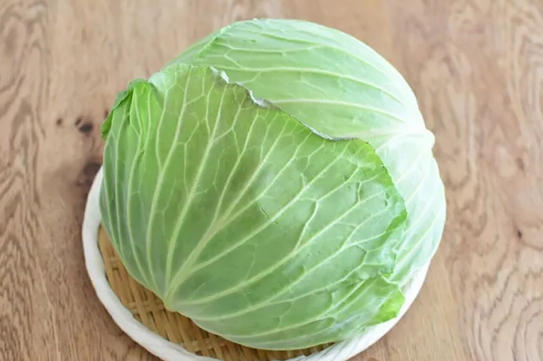 春キャベツ1玉のお土産