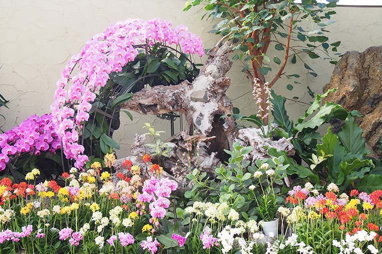 ハーブ庭園旅日記・勝沼庭園・冬