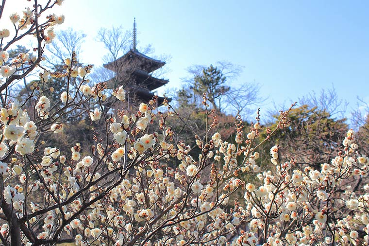 三溪園