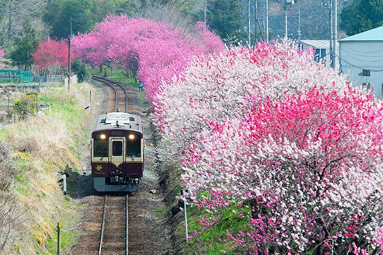 わたらせ渓谷鐵道