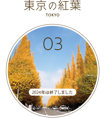 東京紅葉巡りツアー終了しました