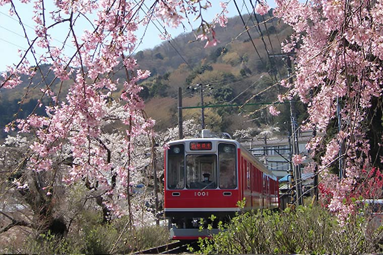 箱根登山鉄道