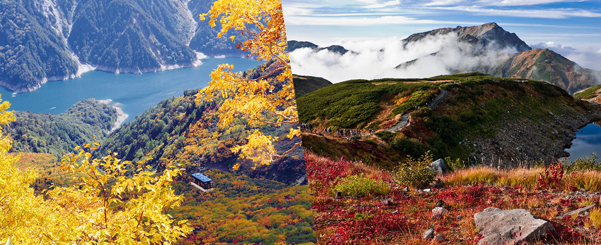 秋（立山ロープウェイ・室堂）