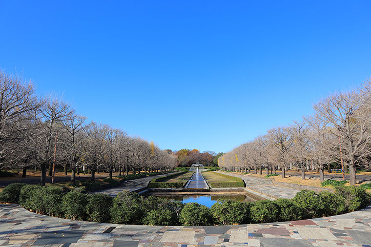 昭和記念公園