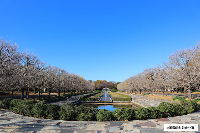 国営昭和記念公園