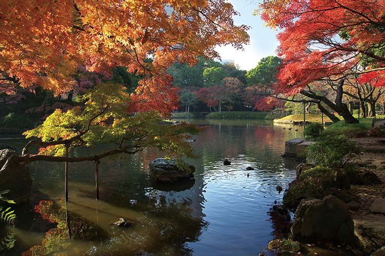 小石川後楽園（紅葉）