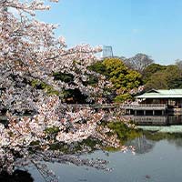 浜離宮恩賜庭園