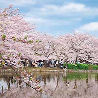 上野公園・不忍池
