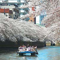 目黒川クルーズ