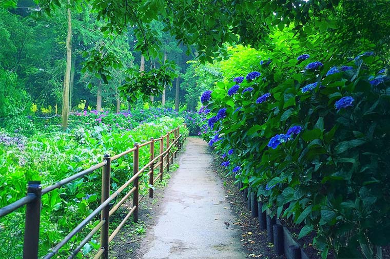 涸沼自然公園