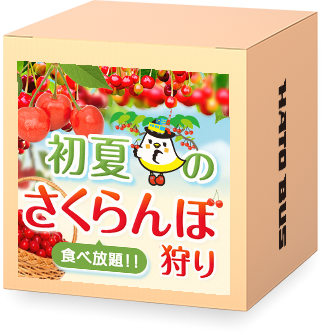 さくらんぼ狩り特集2025