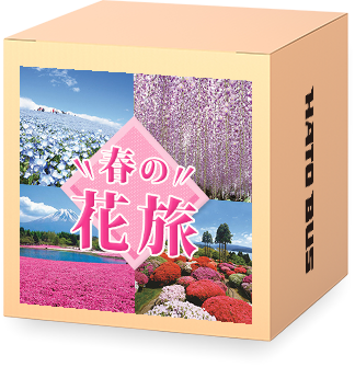 春の花特集2025