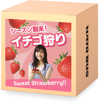 いちご狩り特集2025