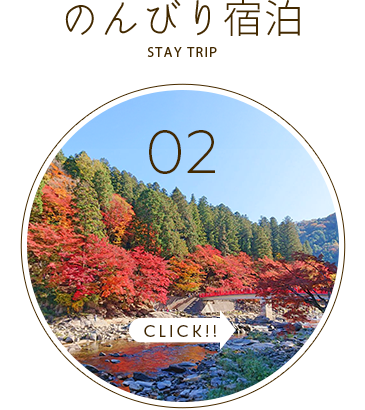 紅葉宿泊バスツアー2024