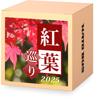紅葉特集2025