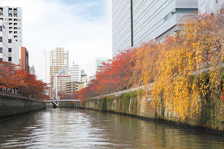 目黒川クルーズ