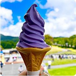 たんばらハーブソフト