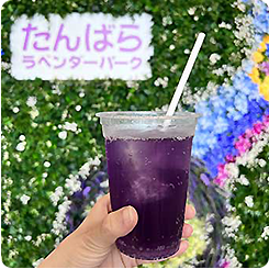 ハーブソーダ