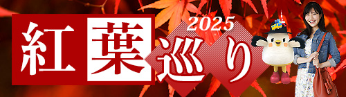 紅葉特集2025