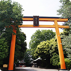 氷川神社・鳥居