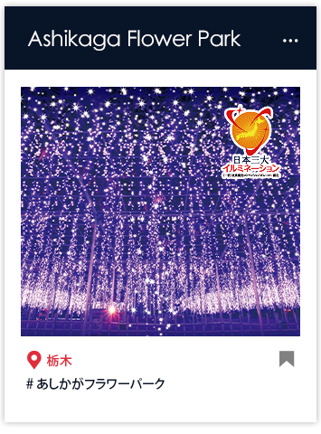 あしかがフラワーパーク「光の花の庭」