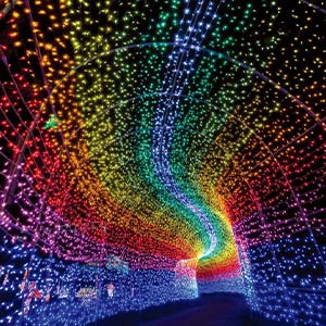 光のトンネス