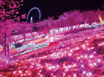 相模湖イルミリオン