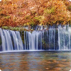 白糸の滝・秋