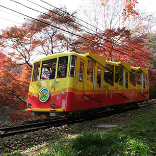 高尾山紅葉