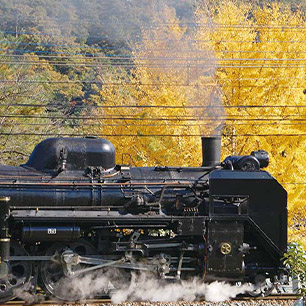 秩父鉄道SL列車
