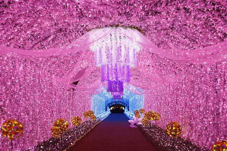 時之栖イルミネーション・光のトンネル「プリンセスロード」