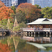 浜離宮恩賜庭園