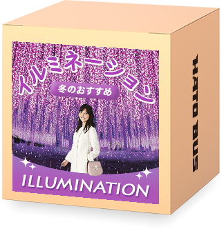 イルミネーション特集2025