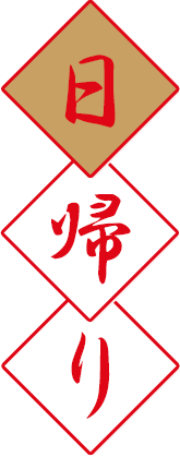2024-2025年末年始お正月日帰りバスツアー