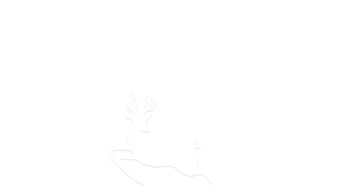 Bus Tours