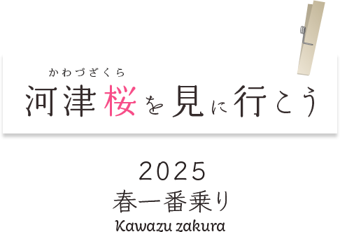 河津ざくら特集2025