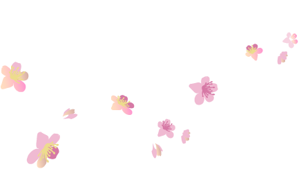 河津ざくら花吹雪（左）