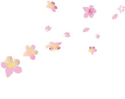 河津ざくら花吹雪（右）