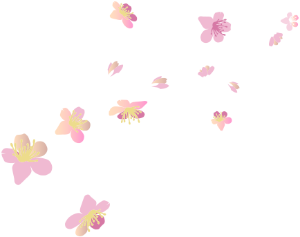 河津ざくら花吹雪（右）